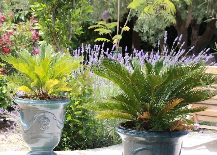 Mas De La Frigoule Le Pouget